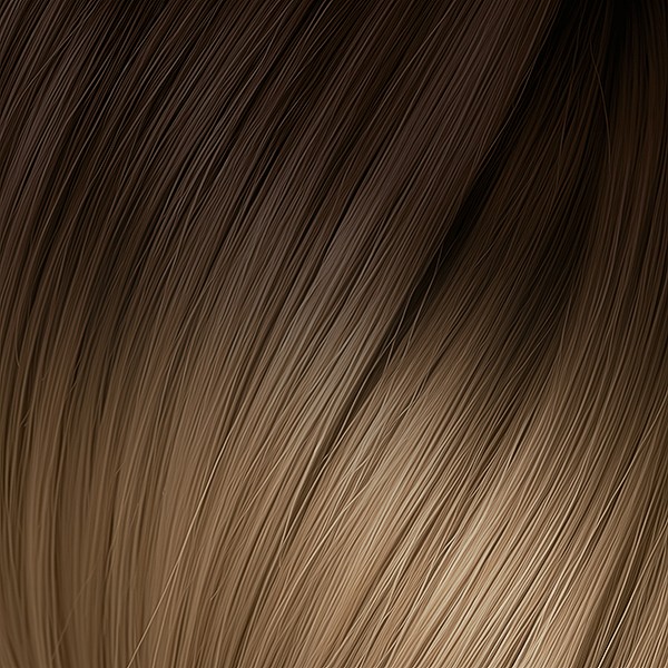 8/DB4. Natural Dark Blond / Dark Golden Blond