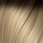 10/20 R. Dark Blond Ash / Ultra Light Blond