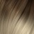 10/1004 O. Dark Blond Ash / Ultra Light Platinum Blond